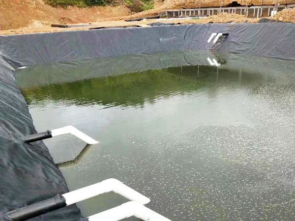 魚(yú)塘土工膜應用