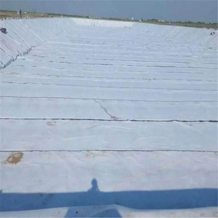 土工膜廠(chǎng)家為您解答復合土工膜的生產(chǎn)工藝